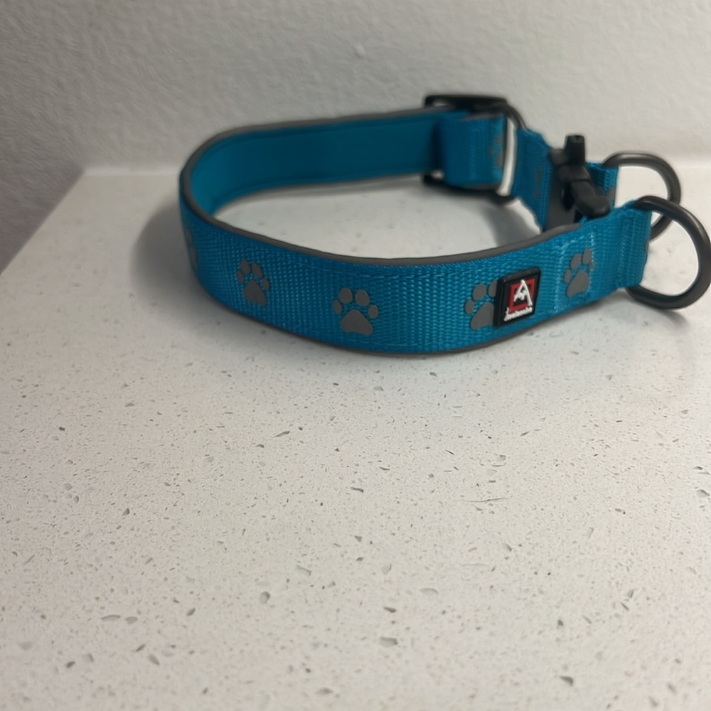 Avalanche Blue Dog Collar - Medium to Large